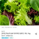 [오늘의집] 유러피안 채소 1kg(3-6종) (6,516원/무료)
