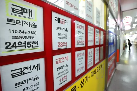 부동산 전월세 급등 관련 이미지