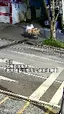 과일을 잔뜩 실은 자전거로 오르막을 오르다가 과일을 잔뜩 실은 자전거로 오르막을 오르다가 - 관련 글 썸네일
