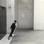 파쿠르 벽타기. 오래된 짤.gif 파쿠르 벽타기. 오래된 짤.gif - 관련 글 썸네일