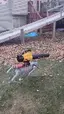 스팟로봇 중대륙에선 산지기로 고통받더니 스팟로봇 중대륙에선 산지기로 고통받더니 - 관련 글 썸네일