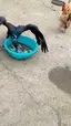 이것도 내꺼! 저것도 내꺼! 그것도 내꺼! OK I'm full. 이것도 내꺼! 저것도 내꺼! 그것도 내꺼! OK I'm full. - 관련 글 썸네일