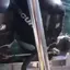 살려고 보트위로 올라온 물개 Seal who was being chased by something. 살려고 보트위로 올라온 물개 Seal who was being chased by something. - 관련 글 썸네일