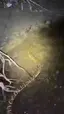 살아있는게 신기한 남자 2탄. - 관련 글 썸네일