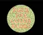 해외 색맹 테스트.jpeg A test of color blind. - 관련 글 썸네일