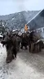 노르웨이 크람퍼스 퍼레이드 Krampus Parade in Norwegian. - 관련 글 썸네일