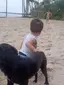네 발 달린 친구의 첫걸음 응원하는 댕댕이 ㅠㅠ 네 발 달린 친구의 첫걸음 응원하는 댕댕이 ㅠㅠ - 관련 글 썸네일
