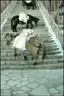 당나귀 계단 오르는 법 보소 - 해외 인기글 썸네일