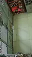 문 열어달라고 조르는 고양이 - 해외 인기글 썸네일