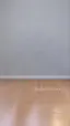 유령 코스튬 입고 춤추는 앵무새 ㅋㅋ - 해외 인기글 썸네일