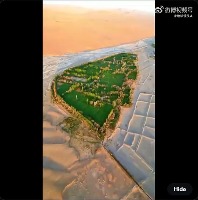 사막에 오아시스 만드는 중 사막에 오아시스 만드는 중 - 관련 글 썸네일