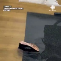 허리케인 밀턴으로 자신 차와 집이 다 잠긴 남성 허리케인 밀턴으로 자신 차와 집이 다 잠긴 남성 - 관련 글 썸네일