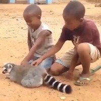 더 긁으라는거 같은데? 더 긁으라는거 같은데? - 관련 글 썸네일