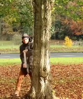 신기한 3d 페인팅 과정 - 관련 글 썸네일