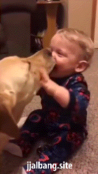 아이랑 잘노는 강아지 - 본문 이미지