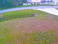 두마리 개를 물리치고 주인을 지킨 충성스런 개 - 관련 글 썸네일