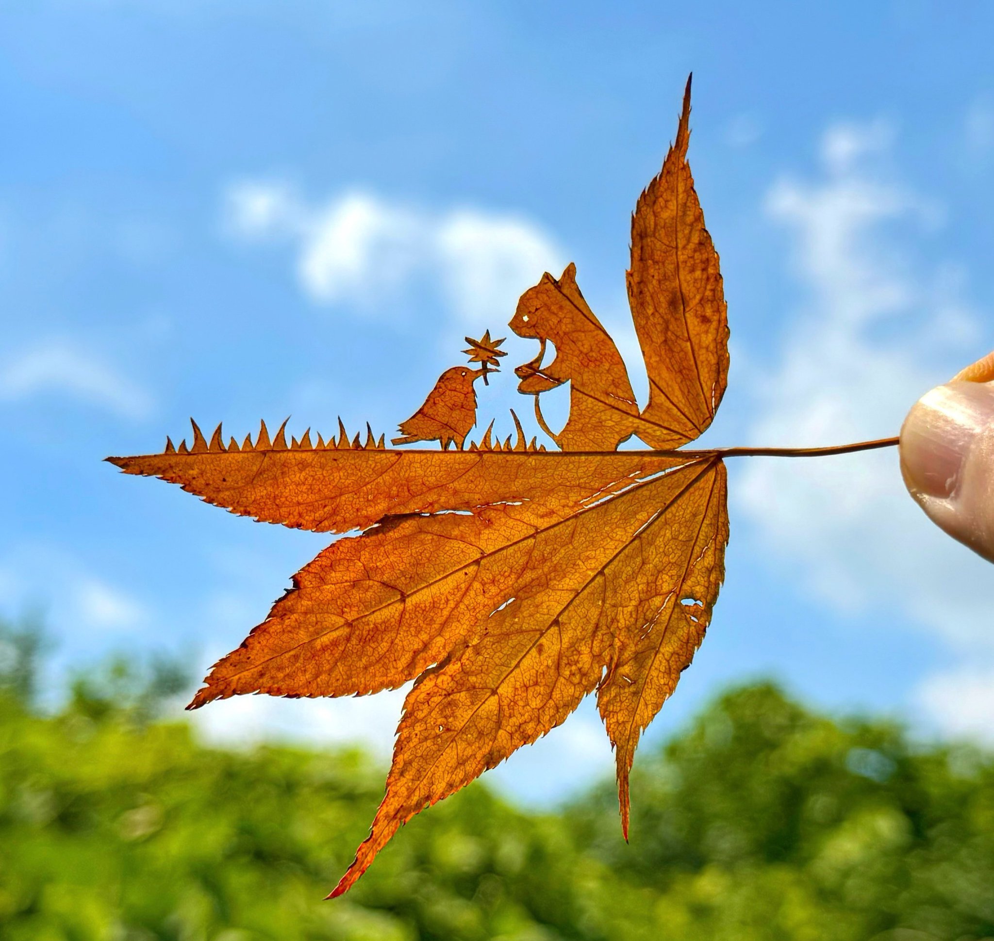 나뭇잎 아트  - 본문 이미지