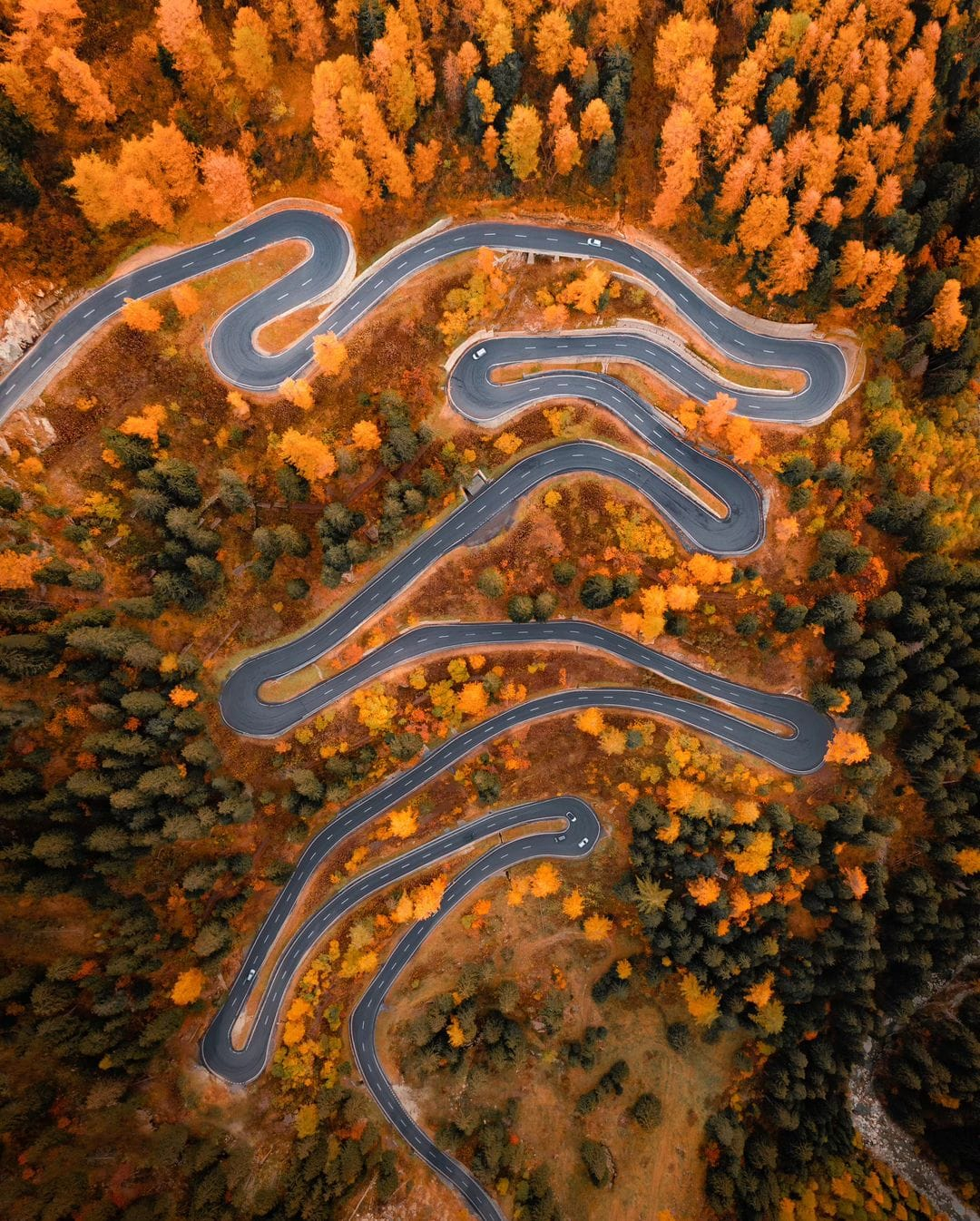 오스트리아에 있다는 엄청나게 구불구불한 도로 오스트리아에 있다는 엄청나게 구불구불한 도로 - 본문 이미지