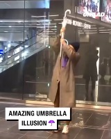우산 한 개로 이런 퍼포먼스가 가능하다니.. 우산 한 개로 이런 퍼포먼스가 가능하다니.. - 관련 글 썸네일
