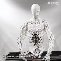 인간의 근육 형태를 거의 완벽하게 복제하는 로봇 - 관련 글 썸네일