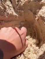 깜놀주의 모래속에 숨견진 것은? 깜놀주의 모래속에 숨견진 것은? - 관련 글 썸네일