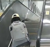 에스컬레이터에서 캐리어만 실어서 보내다가 사고낸 여성 - 관련 글 썸네일