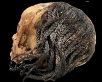 잘 보존된 3,300년전 고대 이집트 소녀의 헤어 스타일 .jpeg 잘 보존된 3,300년전 고대 이집트 소녀의 헤어 스타일 .jpeg - 관련 글 썸네일