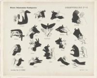 두 손으로 그림자 동물 모양 만들기 두 손으로 그림자 동물 모양 만들기 - 관련 글 썸네일