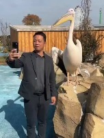 일단 먹고보는 페리칸 Craving for Chinese. - 관련 글 썸네일