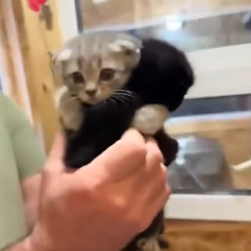 꼭 붙어 있을거야. - 관련 글 썸네일