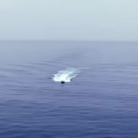 소말리아 해적 근황. - 관련 글 썸네일