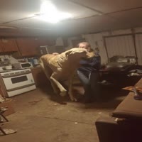 분명히 해라. 너 말이지? - 관련 글 썸네일