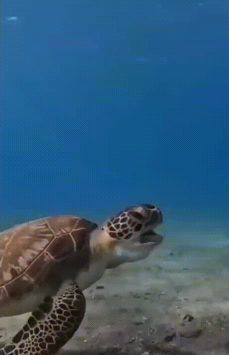 더럽게 맛없네!! 더럽게 맛없네!! - 본문 이미지