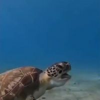 더럽게 맛없네!! - 관련 글 썸네일