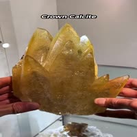 지구가 만든 아름다운 창조물 - 관련 글 썸네일