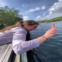 돼지고기맛을 알아버린 물고기 - 관련 글 썸네일