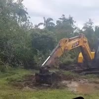 포크레인으로 뱀잡은 남성. - 관련 글 썸네일