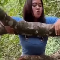 불쌍한 꼬부기 - 관련 글 썸네일