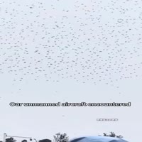 중국 드론 쇼 전파 방해로 다 떨어짐 - 관련 글 썸네일