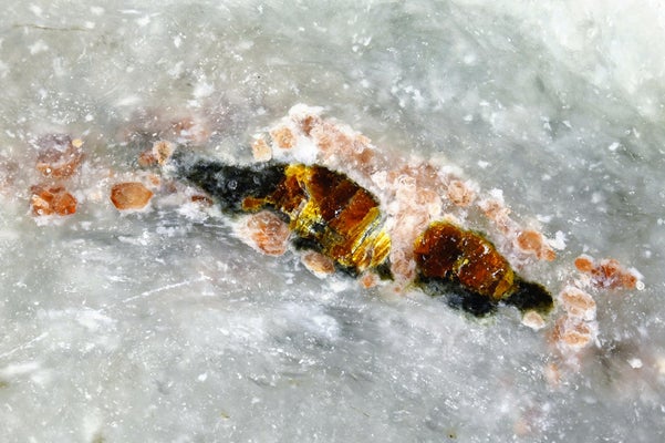 일본, 비취서 신광물 '아마테라스석' 발견 일본, 비취서 신광물 '아마테라스석' 발견 - 본문 이미지