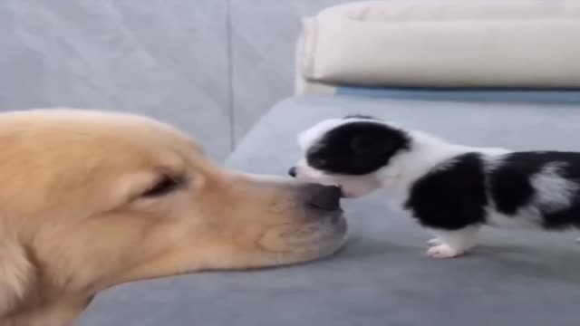 가장 친한 친구 - 관련 글 썸네일