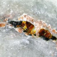 일본, 비취서 신광물 '아마테라스석' 발견 - 관련 글 썸네일