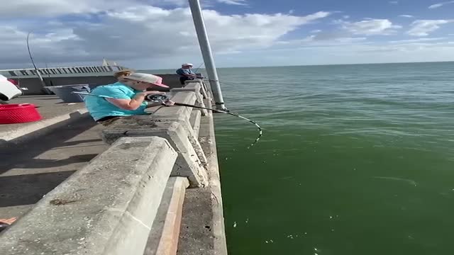 부두 밑 괴물 그루퍼 낚시 어후 손맛 제대로 느낄 듯 - 관련 글 썸네일