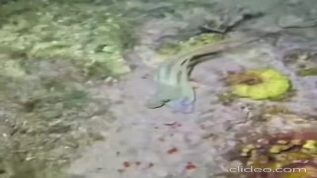 최고의 무빙 - 관련 글 썸네일