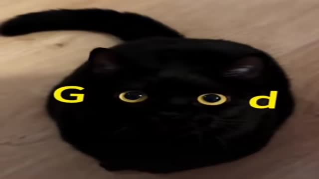 GOOD - 관련 글 썸네일