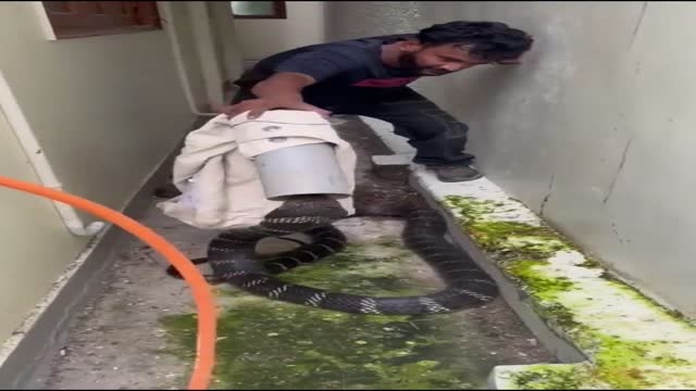 포사꾼의 용기 - 관련 글 썸네일