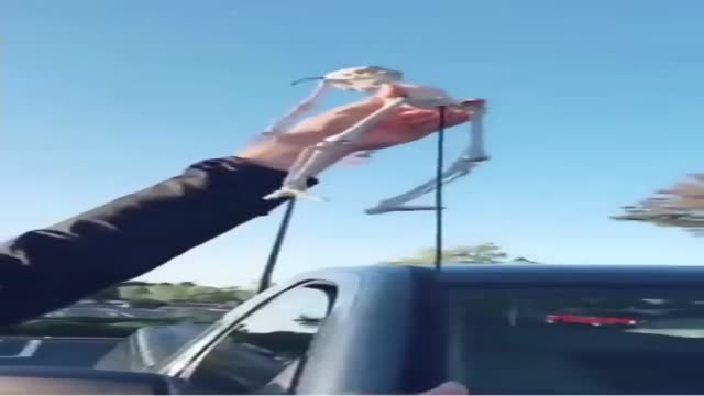 해골의 용도 - 관련 글 썸네일