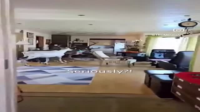 노르웨이의 흔한 일상 - 관련 글 썸네일