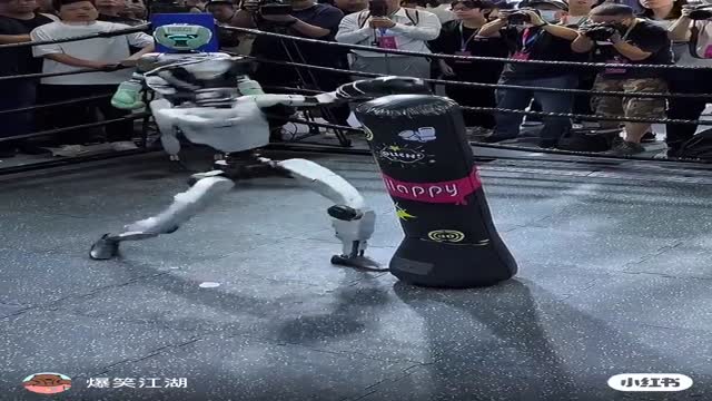 중국 로봇 근황 - 관련 글 썸네일