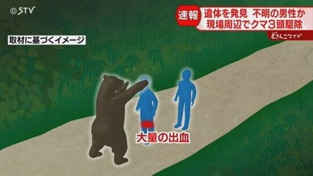 친구 앞에서 곰에 끌려가 실종된 남성, 결국.. - 관련 글 썸네일